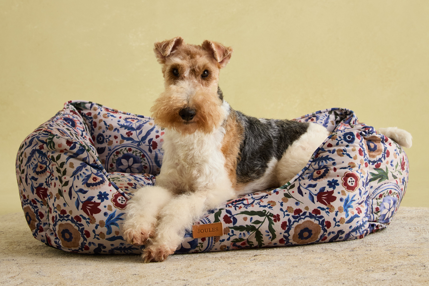 Top Tips for Keeping Pets Safe and Healthy in Autumn